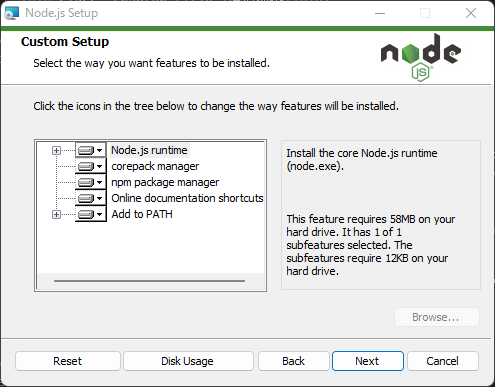 node-setup-custom.png