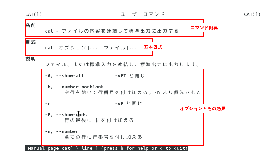 manコマンド.png