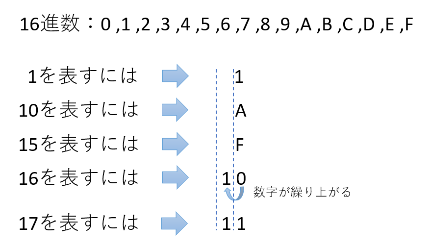 source7.png